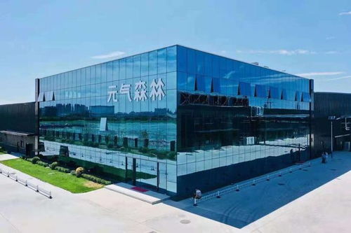 安徽合肥80后创业者 从25万奖金到250亿身价的成功秘诀——技术服务为王